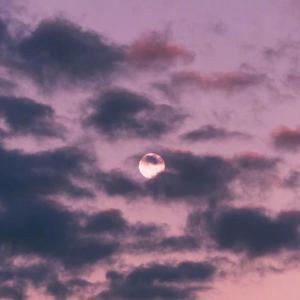 女子被狂揉下部❌羞羞网站
